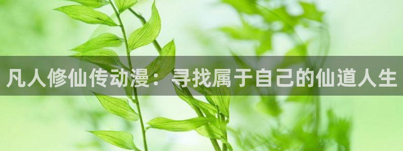 夏目第七季樱花动漫：凡人修仙传动漫：寻找属于自己的仙道人生