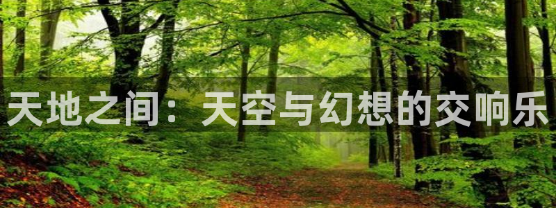 樱花动漫专业网站：天地之间：天空与幻想的交响乐