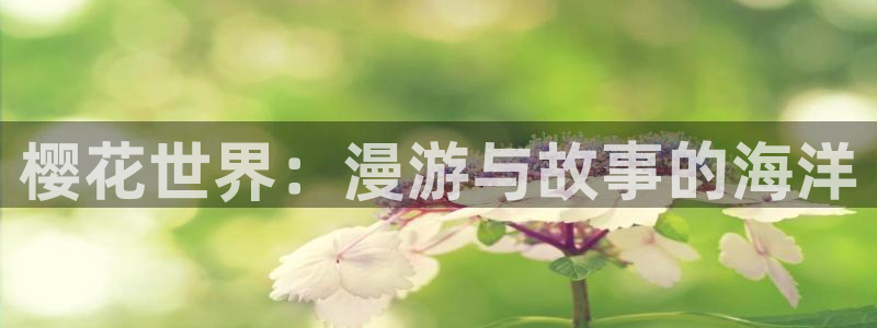 樱花动漫仙武传：樱花世界：漫游与故事的海洋